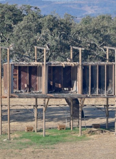 Torre de hacking para águia-pesqueira