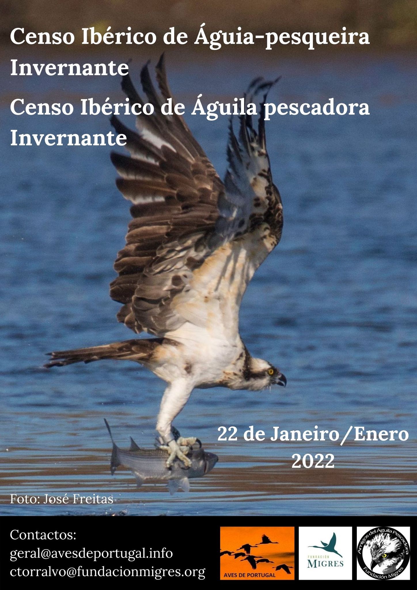 censo_pesqueiras_2022-min